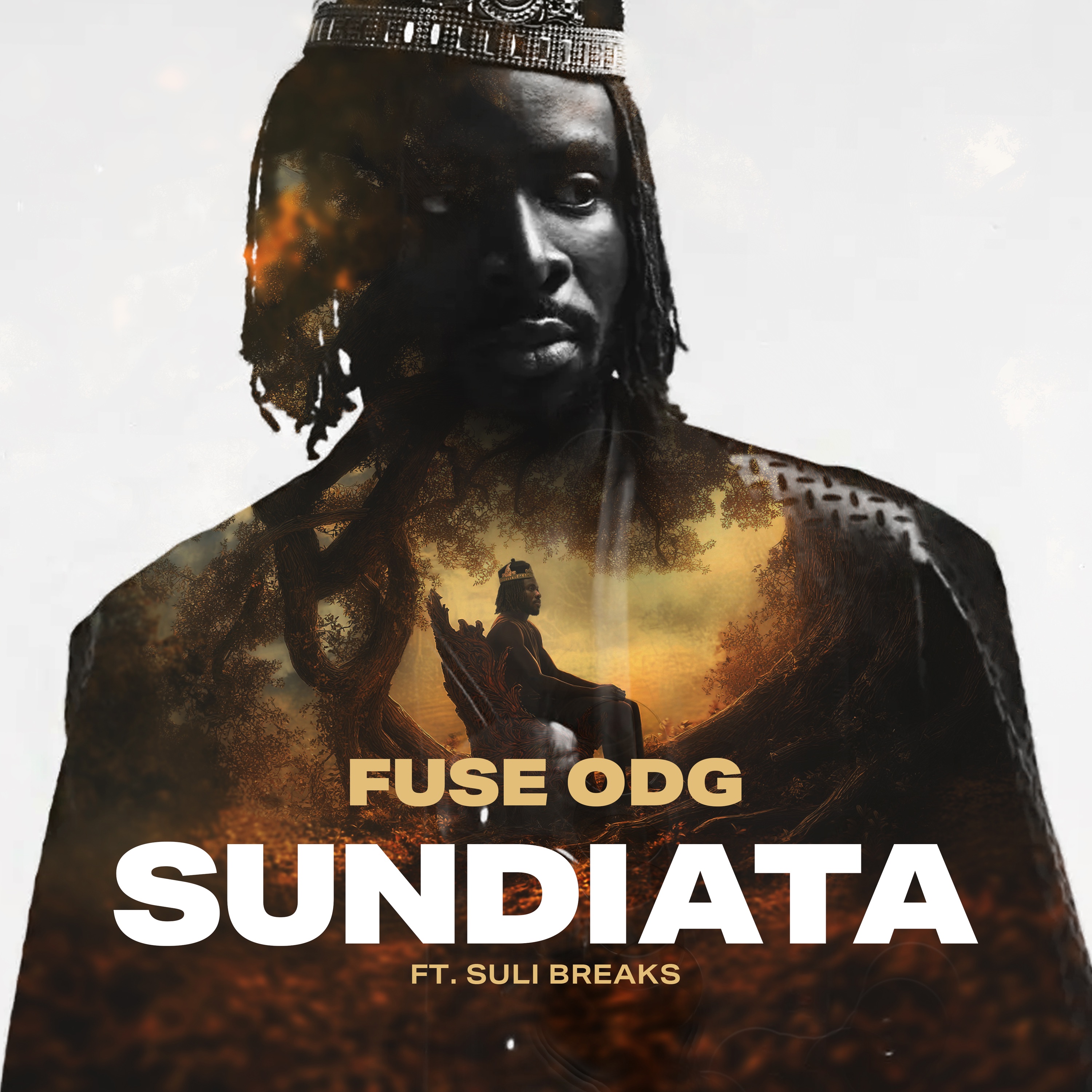 Sundiata (feat. Suli Breaks) - Single