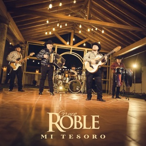 Mi Tesoro