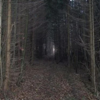 knowing nothing is better than knowing it all - Single