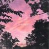 Michel Delgado DREAMS DREAMS - Single