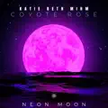 Neon Moon