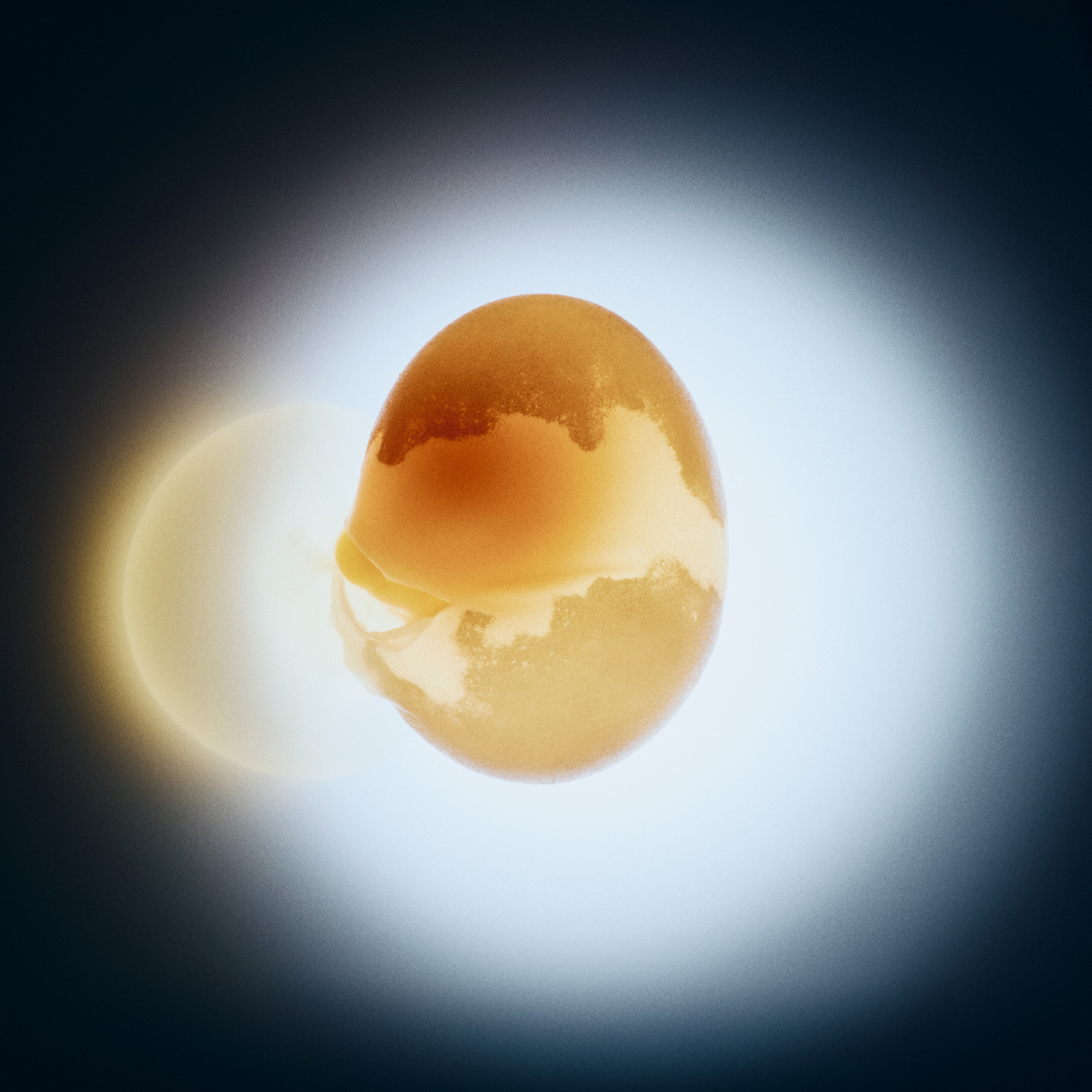 Far Too Long - Single