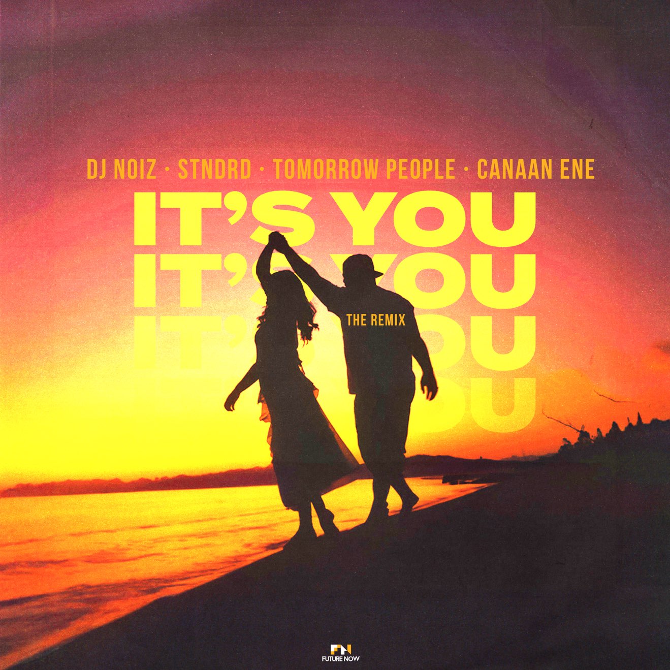 DJ Noiz, STNDRD & Tomorrow People – It’s You (Remix) [feat. Canaan Ene] – Single (2024) [iTunes Match M4A]