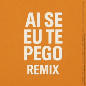 Ai Se Eu Te Pego (feat. Nicola Ianniello) [Remix] - Single