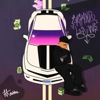 CACHANDO LOS VVS - Single - PUKKES