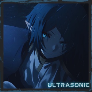 Ultrasonic