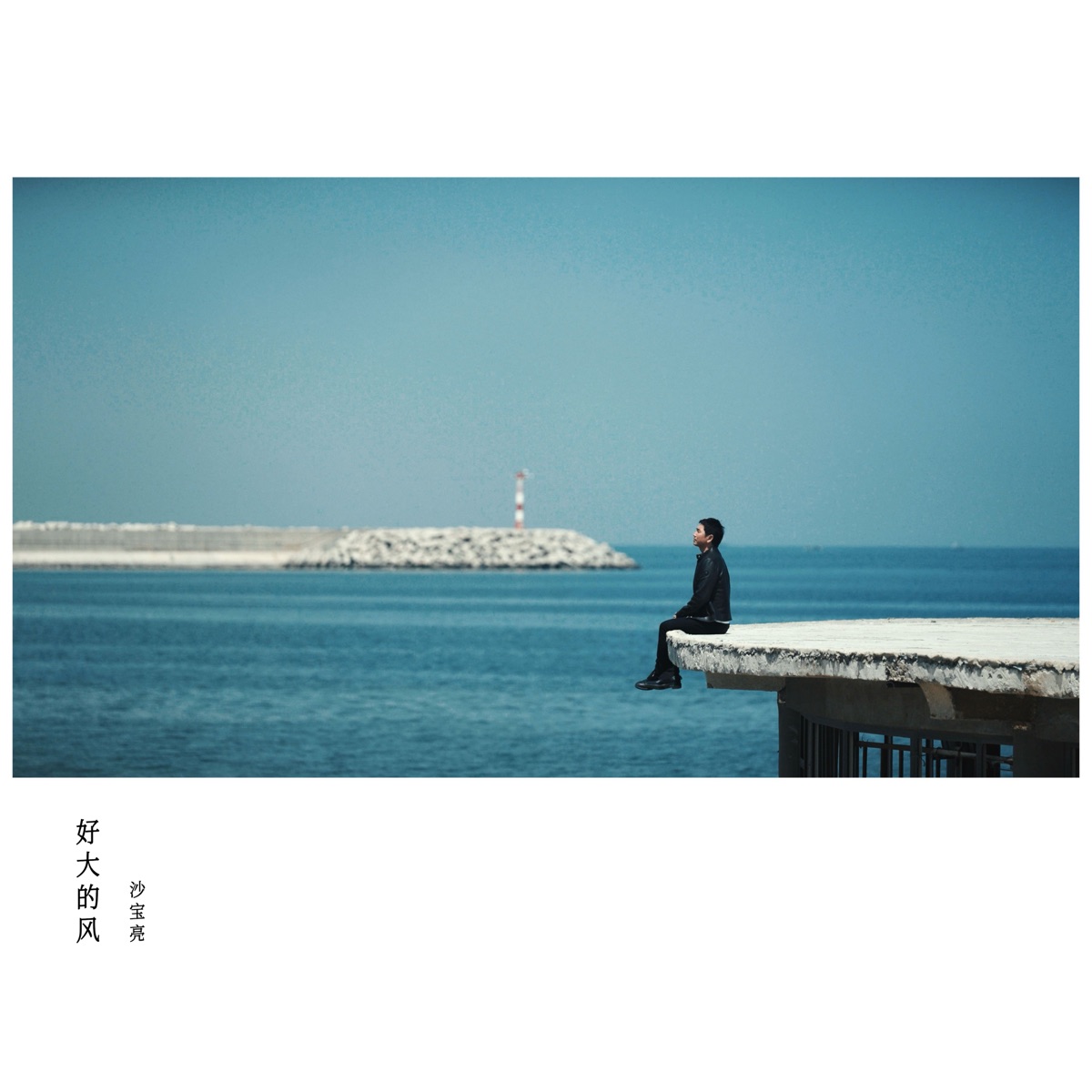 沙宝亮 - 皮筋斩棘 - Single / 好大的风 - Single (2025) [iTunes Plus AAC M4A]-新房子