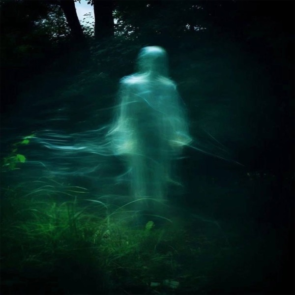 seclusion - Single
