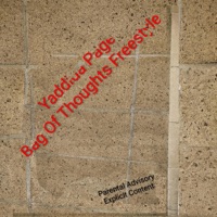 Bag of thoughts freestyle - Single - Yaddida Page