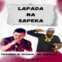 Lapada na Sapeka (feat. Mc Ronaldo & Dj Dg Da Sk) - Single - FêFêzinho di brasilia