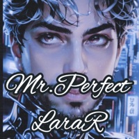 Mr.Perfect - Single - LaraR