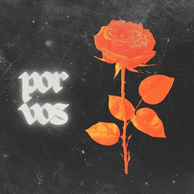 Por Vos - Single
