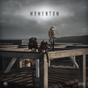 Momentum - EP