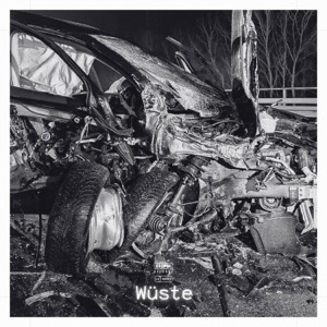 Wüste (feat. DJ DNS) - Single