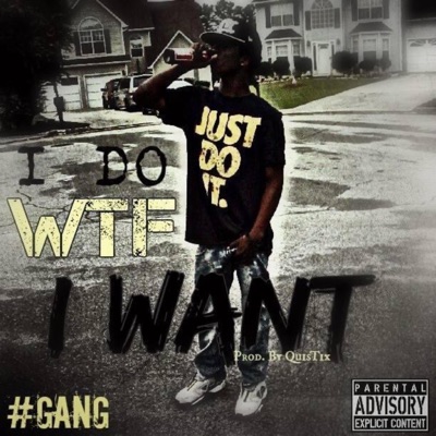 I Do Wtf I Want - Single