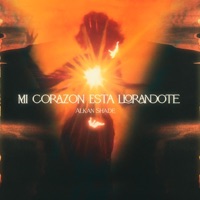 Mi Corazón Está Llorándote - Single - Alkan Shade