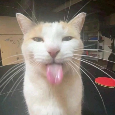 Ay Mi Gatita - Single