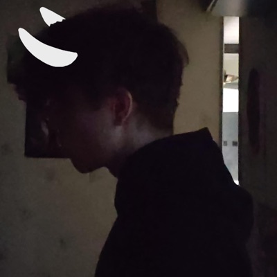 the hollow knight - Single