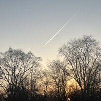 hopeless - Single - Lumini