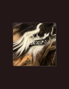 Near Wild Honey dinle, müzik videolarını izle, biyografisini oku, tur tarihlerini ve daha fazlasını gör!