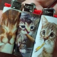 2006 (TRANCE) - Single - 8t33n