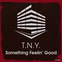 Something Feelin' Good - Single - TNY