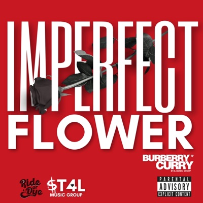 IMPERFECT FLOWER - Single