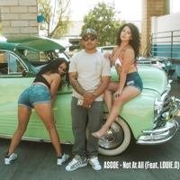 Not At All (feat. Louie.C) - Single - Ascoe