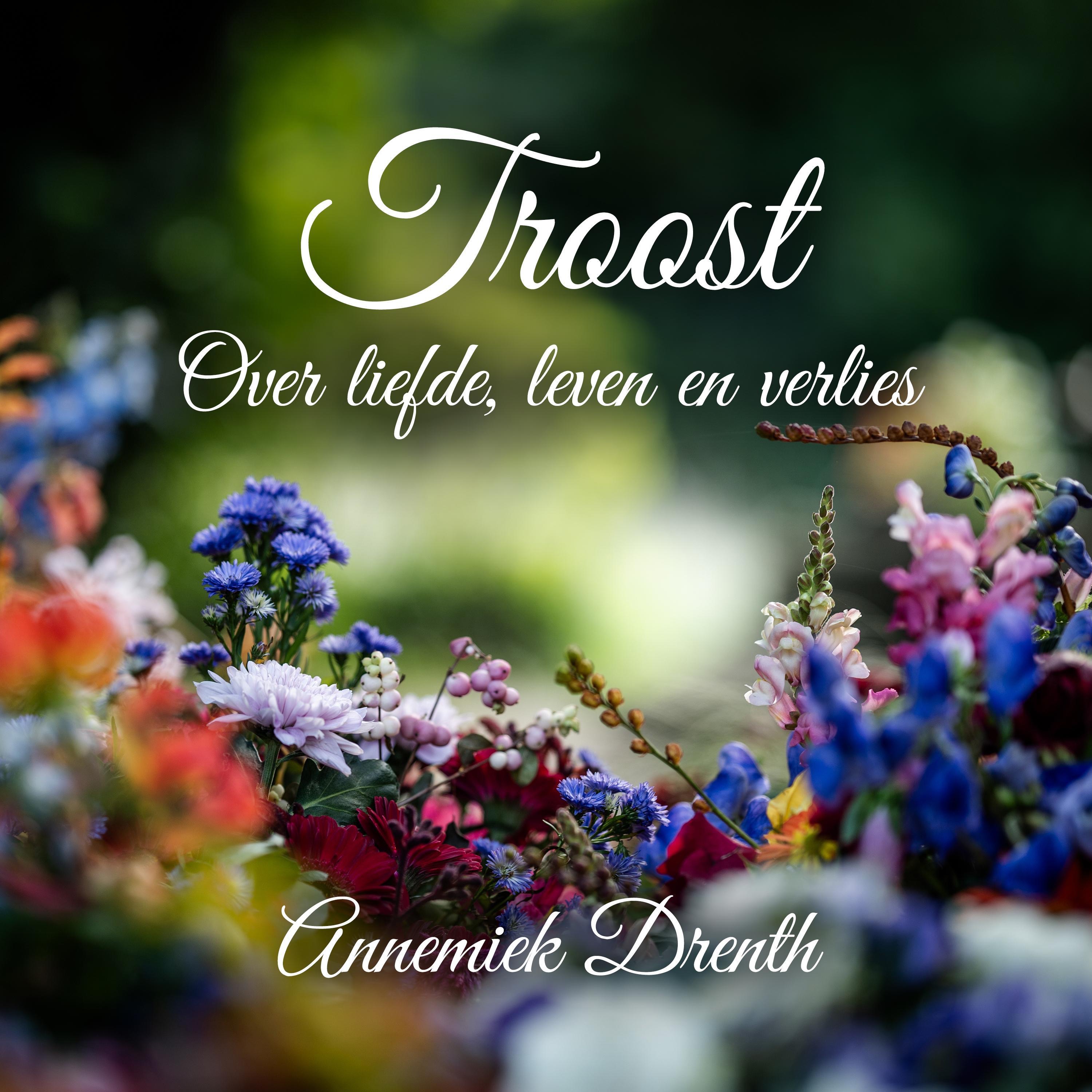 Troost. Over liefde, leven en verlies - EP