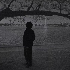 Black Cherries - Single