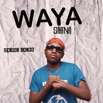 Waya Saana - Single