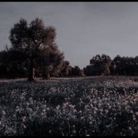 take off (feat. rare) - Single - TDM Cam