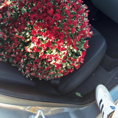 They Don't Know Me - Single