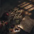 Zbog tebe
