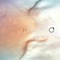 Omega (51.13ºN 57.27ºE) - Orbita lyrics