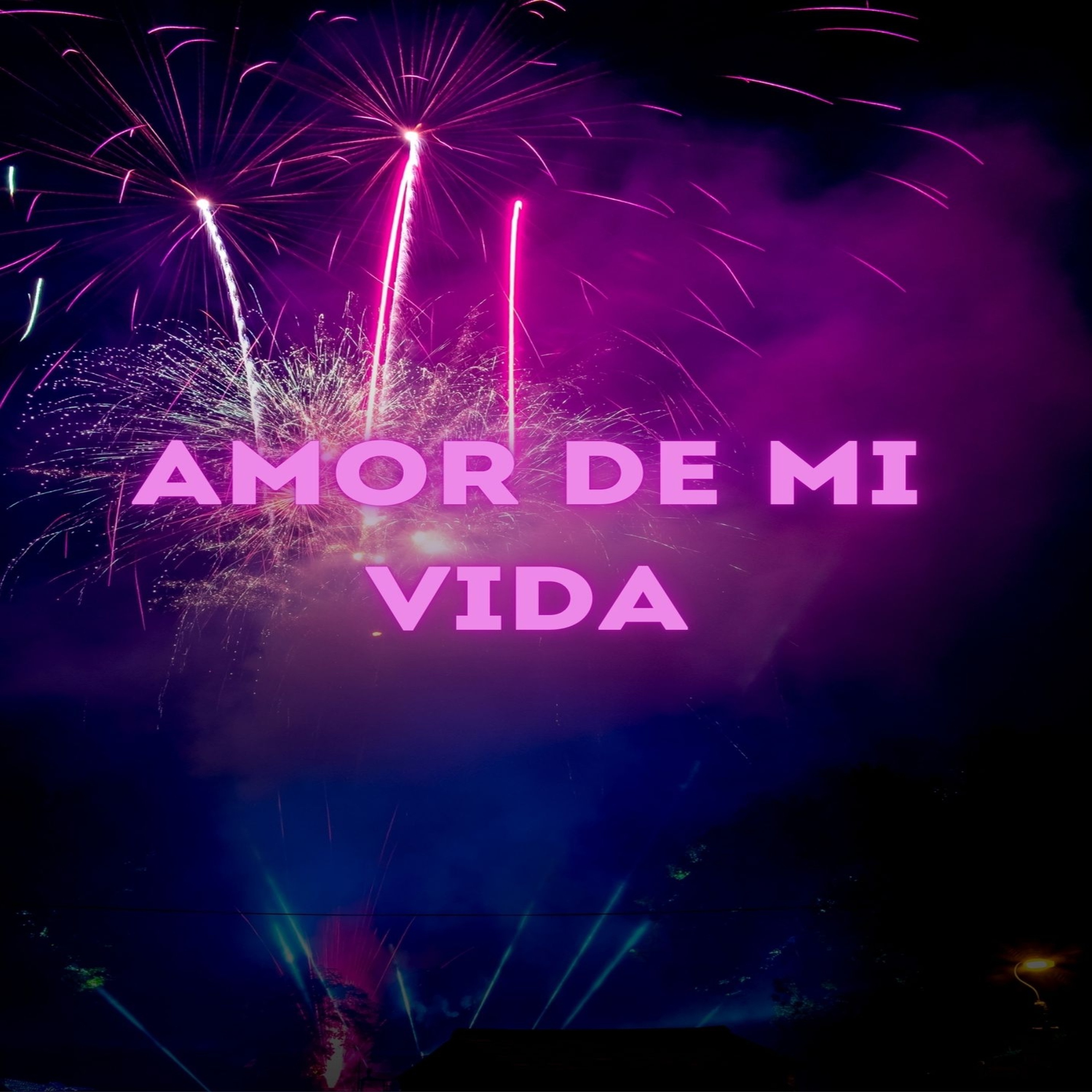 Amor De Mi Vida - Single