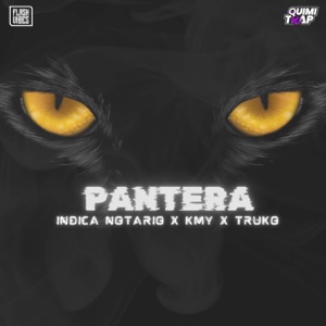 Pantera (feat. QUIMITRAP)