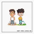 What You're Looking For