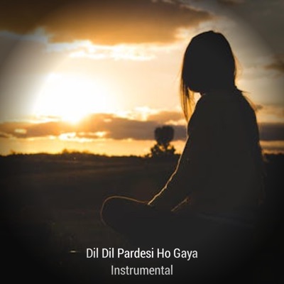 DK Melody - Dil Dil Pardesi Ho Gaya Banjo