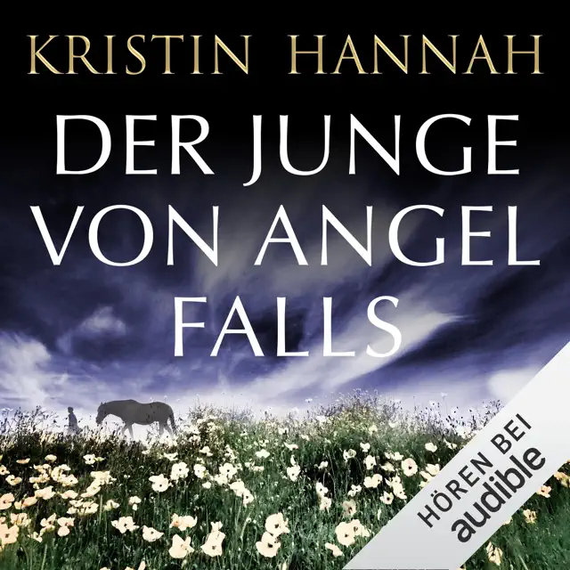 Der Junge von Angel Falls