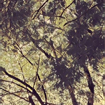 Good Mourning - Single