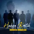 Örümcek Ormanları