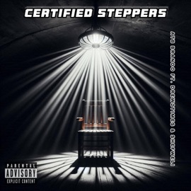 Certified Steppers (feat. Drew2times & Shefweli) ATB Brando