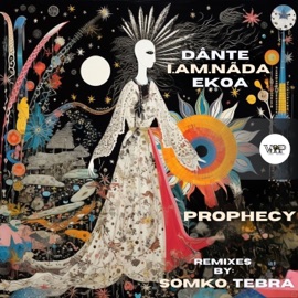 Prophecy (Tebra Remix) Dante & i.am.nãda