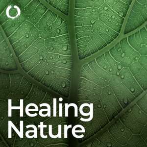 Healing Nature Solfeggio Frequencies