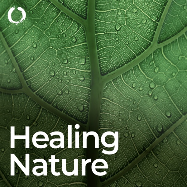 Healing Nature Solfeggio Frequencies