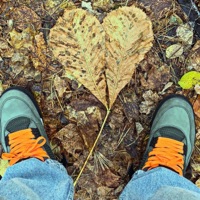 along the way - Single - Hypno Beats