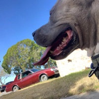 No Where To Go - Single - Joemoee47