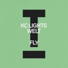 Fly (Extended Mix) cover art