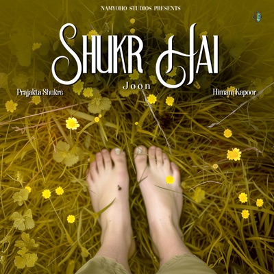 Shukr Hai - Single